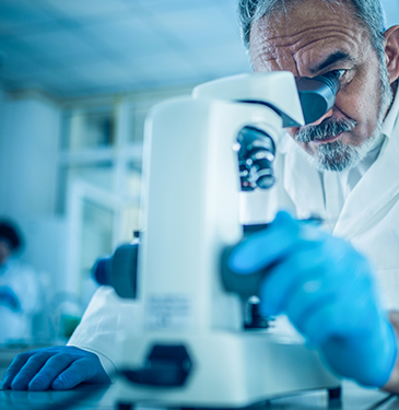 品质管控体系及有害物质管控管理